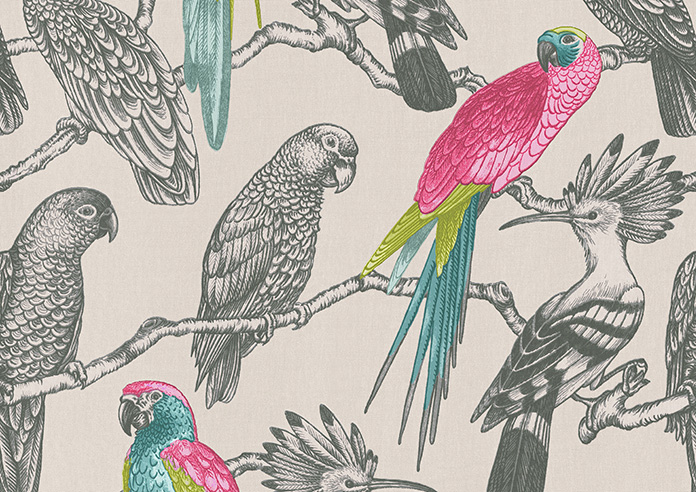 Aviary, Begonia - Roman Blind - Image 6